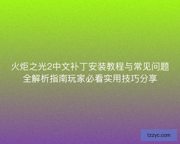 火炬之光2中文补丁安装教程与常见问题全解析指南玩家必看实用技巧分享