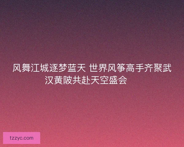 风舞江城逐梦蓝天 世界风筝高手齐聚武汉黄陂共赴天空盛会 🎏