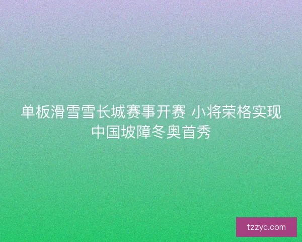 单板滑雪雪长城赛事开赛 小将荣格实现中国坡障冬奥首秀